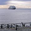 Magdalena Island with some of it's 120,000 Magellanic Penguins